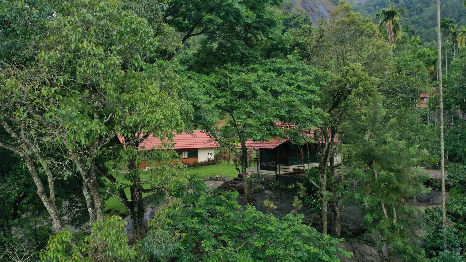 Avadale Wayanad - Stag Groups Not Allowed Kalpetta