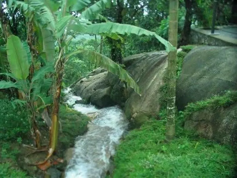 Avadale Wayanad - Stag Groups Not Allowed Kalpatta Resort